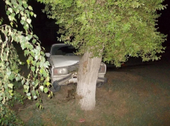 В Ленинске 19-летний водитель ВАЗ-21053 протаранил дерево