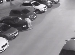 В Волжском неизвестный всю ночь испытывал нервы автомобилистов