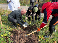 Глава города вместе с волжанами вышли убирать дворы