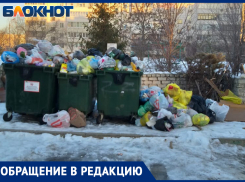 Новый регоператор, старая проблема: волжане жалуются на заполненные доверху контейнеры