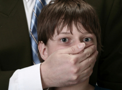 Волжанин в отместку сожительнице выложил в сеть видео ее обнаженного сына