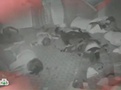 Криминальное прошлое Волжского: история убийства целой семьи