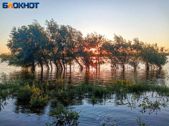 3 октября - День великомученика Евстафия: традиции и запреты