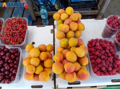 Волжанам рассказали где, искать витамин С