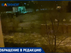 «Всю ночь лают и разгуливают стаями»: в Волжском собаки не дают спокойно жить в 24 микрорайоне