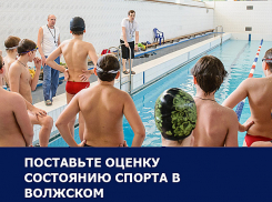 Закрытие олимпийской школы плавания и отсутствие дворовых площадок стали главными спортивными проблемами в Волжском: Итоги 2016 года