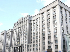 В Госдуме приняли к сведению обращение волжанина с предложением лишить депутатов зарплат