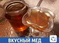 Натуральный мед из Урюпинска предложили волжанам