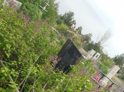 На «Красную горку» откорректируют спецмаршрут, идущий мимо кладбища