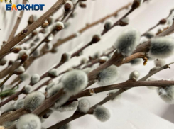 Вербоносица: что можно и нельзя делать 21 марта