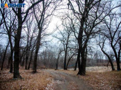 Облачное воскресенье с плюсовой температурой ожидает волжан: прогноз погоды