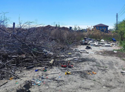 Волжские дачники бьют тревогу: в СНТ «Цветущий сад» образовалась стихийная свалка