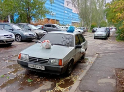 Этот будильник не выключить: ежедневные утренние вопли соседки на машины сняли на видео в Волжском