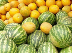 В День арбуза учимся выбирать ягоду