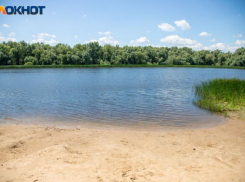 В Волжском на озере Круглое пройдет музыкальный фестиваль «БАРДовый мед»