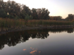 Больше 8 кубов мусора вывезли с берегов ерика Верблюд