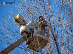 В Волжском развесят мемориальные доски и дадут имя скверу