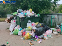 Большинство волжан считают, что новый регоператор будет такой же как Ситиматик 