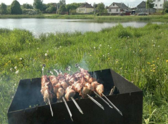 Волжских любителей пикников предупредили об огромных штрафах