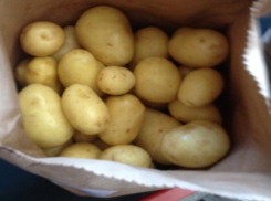 Фермеры региона оказывают поддержку семьям с детьми-инвалидами