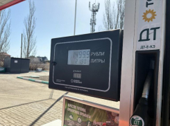В Волжском снова растут цены на бензин