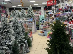 Каждому покупателю подарок: не пропустите новогодние акции в «Фаворите»