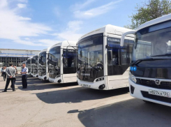 ПАЗ для вас: в Волжском появились новые автобусы
