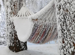 Пьяная женщина замерзла насмерть в Ленинске
