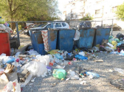 Волжане забили тревогу: дворы стремительно превращаются в свалки