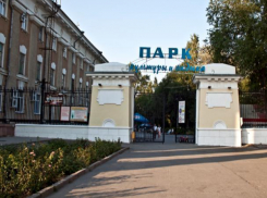 Сегодня пройдет первая в истории Волжского прямая трансляция Кубка по футболу на большом экране в парке «ВГС»