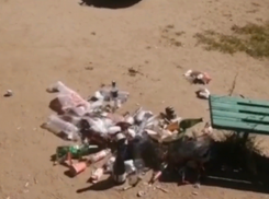 В Волжском детская площадка «зарастает» мусором: видео