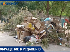 Волжане задыхаются от вони помоев: проблема с вывозом мусора до сих пор актуальна в Волжском