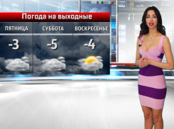 Сильный ветер ожидает волжан в День ананаса: прогноз погоды в Волжском