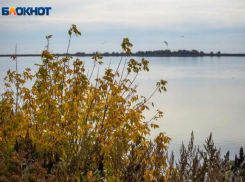 Понедельник встретит волжан хмурым небом: прогноз погоды