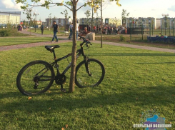 В Волжском создадут уникальный для региона физкультурно-оздоровительный парк