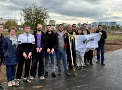 В Волжском обновляют зеленый фонд: тысячи новых деревьев украшают город