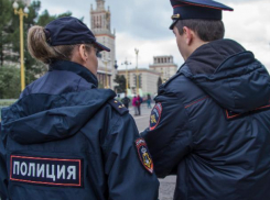 С 2020 года МВД пополнится новым подразделением