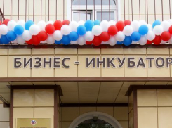 Бесполезных бизнес-инкубаторов в Волгоградской области станет больше