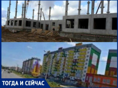 Пустырь в Волжском заиграл цветами радуги