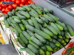 В Волжском огурцы и помидоры к праздничному столу обойдутся дорого