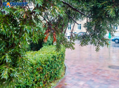 Понедельник будет малооблачным, но теплым