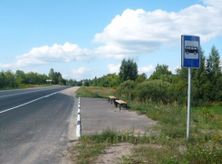 Под Волгоградом 37-летний мужчина украл автобусную остановку 
