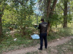 Велосипедист-убийца: волгоградец расправился с женщиной из-за собаки