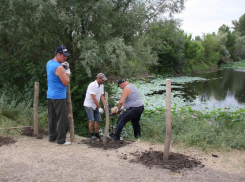 На территории Лотосового озера появится благоустроенная площадка