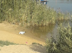 Тело семилетней девочки пролежало на пляже весь день