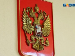 В России принят закон о пожизненном заключении за вербовку детей