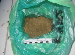 Задержанный в Волжском драгдилер прятал 6 кг марихуаны в пойме Волги