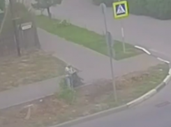 В Волжском заставили нарушителя, выбросившего ветки, убрать за собой