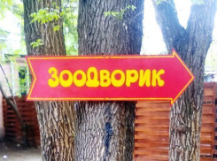 Истерика вокруг зоодворика в Волжском оказалась напрасной