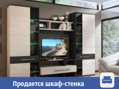 В Волжском продается вместительный шкаф-стенка
